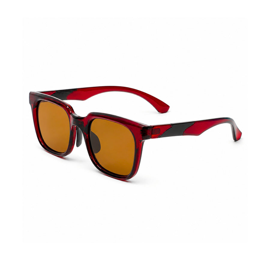 VERLIN Y Pole 25005 BROWN Polarized Sunglasses — supplied source view 2