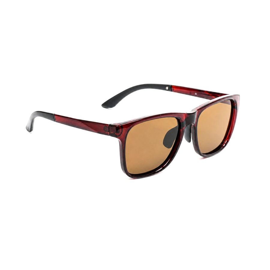 VERLIN Y Pole 25009 BROWN Polarized Sunglasses — supplied source view 3