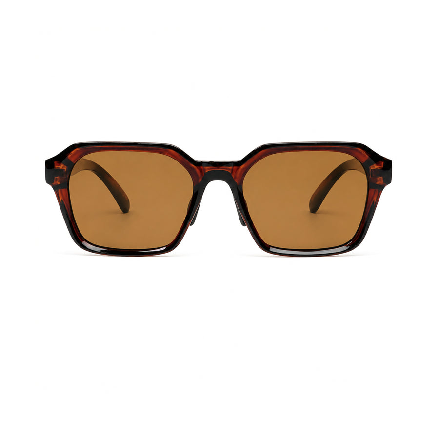 VERLIN Y Pole 25006 BROWN Polarized Sunglasses — supplied original front-angle product photo