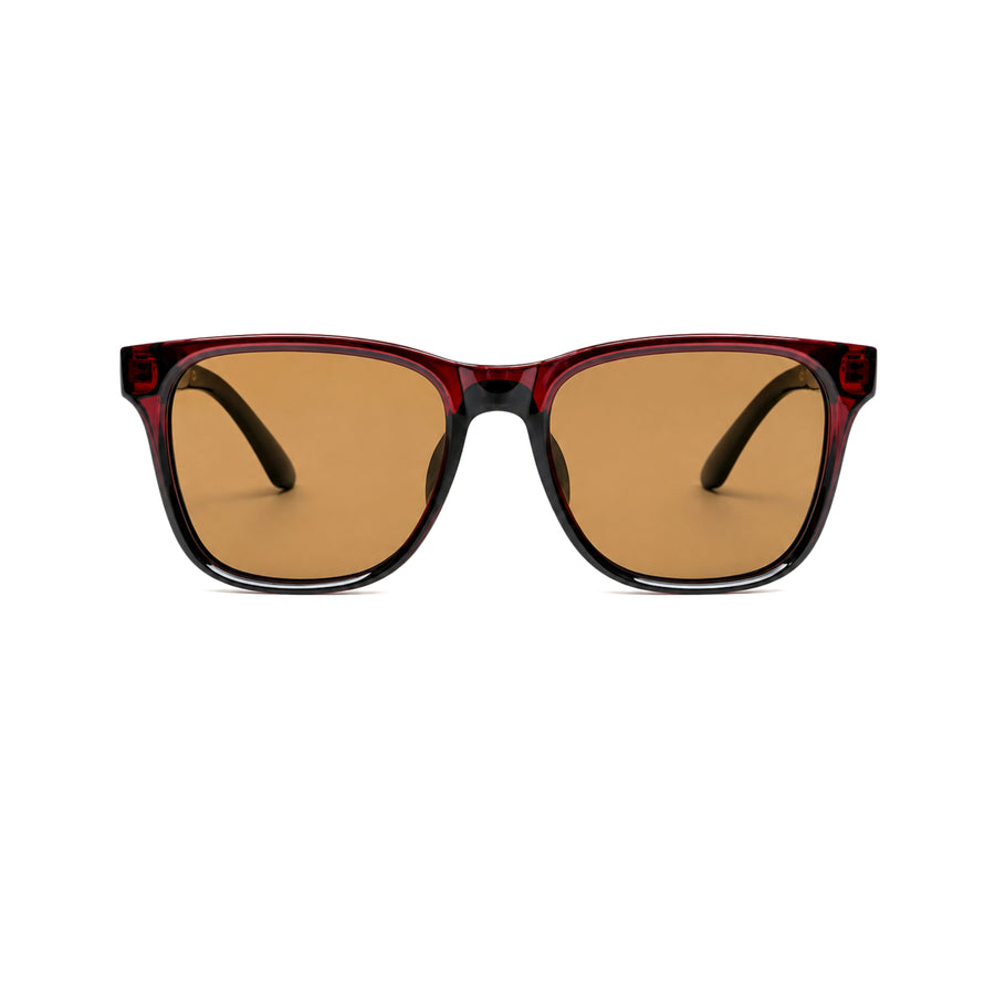 VERLIN Y Pole 25009 BROWN Polarized Sunglasses — supplied original front-angle product photo