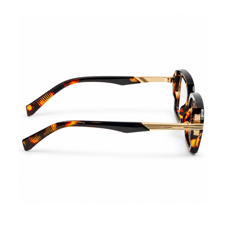 VERLIN 6104 Tortoise square frame, temple and hinge detail