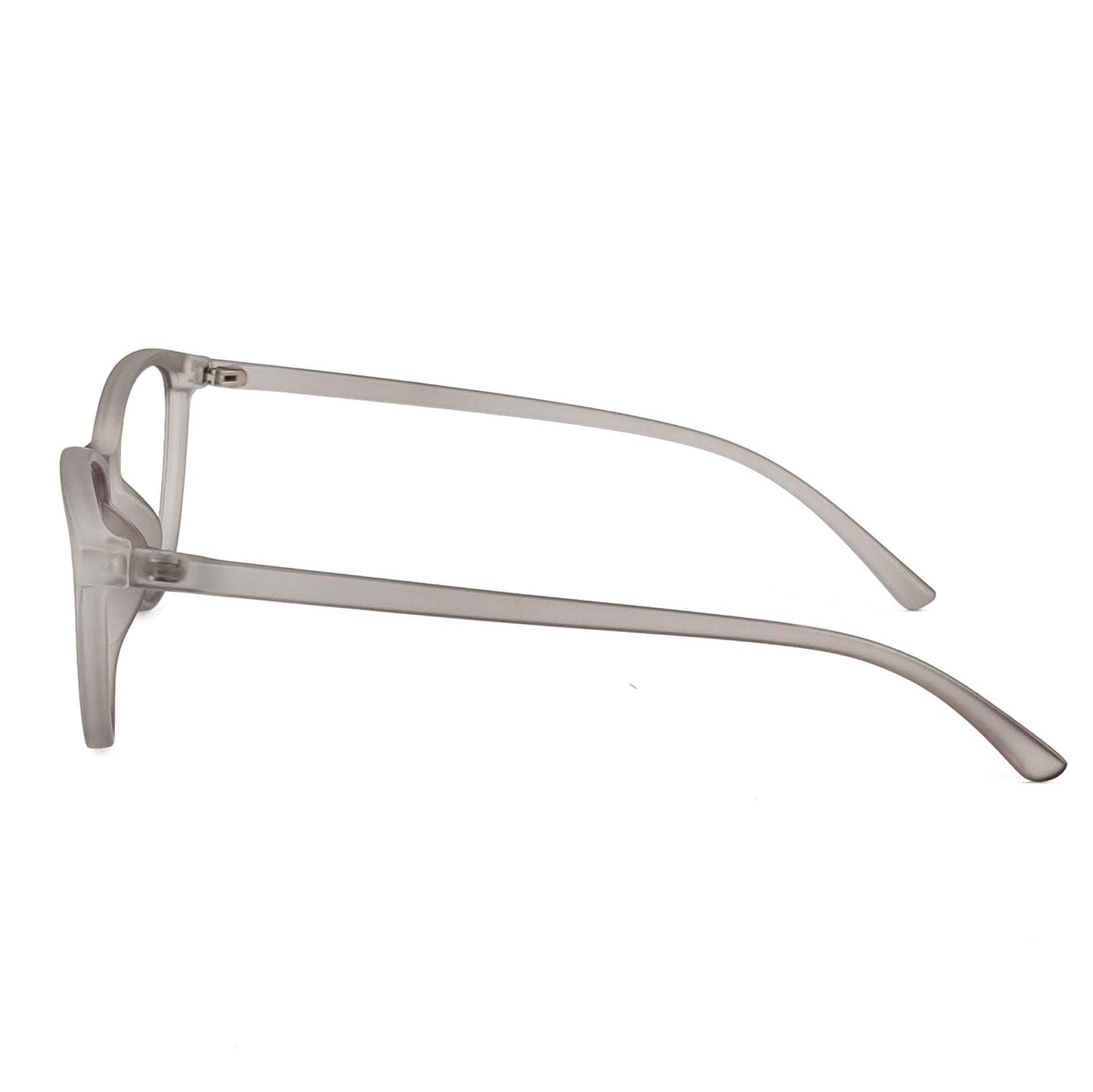 Eyewear 3210 - Gray