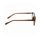 k9189 Brown / clear appearance — product view 4