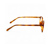 k9189 Amber / clear appearance — product view 4