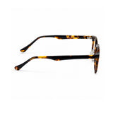 k9191 Tortoiseshell / clear appearance — product view 4